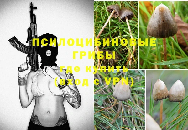 эйфоретик Аркадак