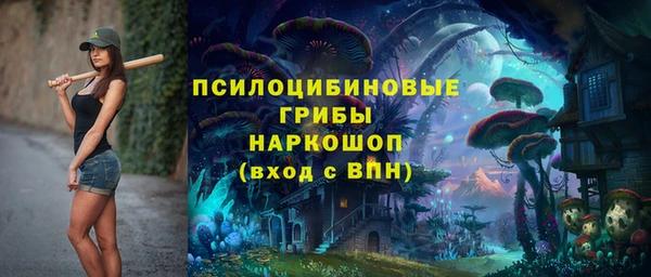 PSILOCYBIN Арсеньев