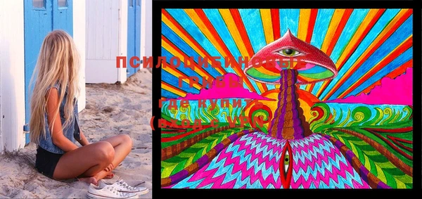 PSILOCYBIN Арсеньев
